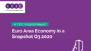 Euro Area Economy in a Snapshot Q3 2020 Report