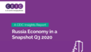 Russia Economy in a Snapshot Q3 2020 Report