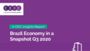 Brazil Economy in a Snapshot Q3 2020
