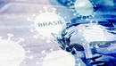 COVID-19 and Brazil's Government Response Leading to Increased Savings