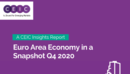 Euro Area Economy in a Snapshot Q4 2020 Report
