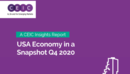 US Economy in a Snapshot Q4 2020 Report