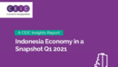 Indonesia Economy in a Snapshot Q1 2021 Report