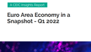 Euro Area Economy in a Snapshot Q1 2022 Report