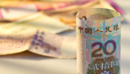 CEIC Leading Indicator: The Economy Showed Signs of Recovery