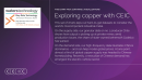 Navigating global copper markets with CEIC commodities intelligence